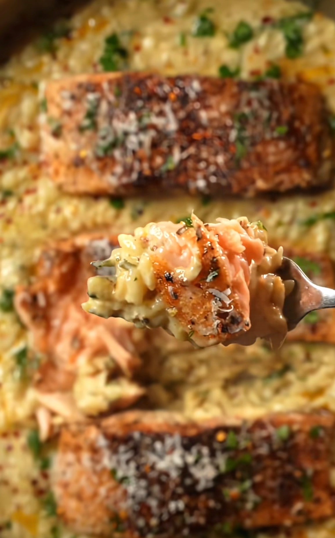 Creamy Garlic Parmesan Salmon Orzo